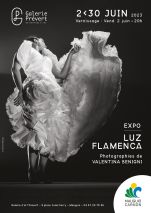 Exposition : Luz Flamenca