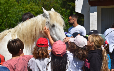 Journée de sensibilisation des scolaires aux traditions camarguaises