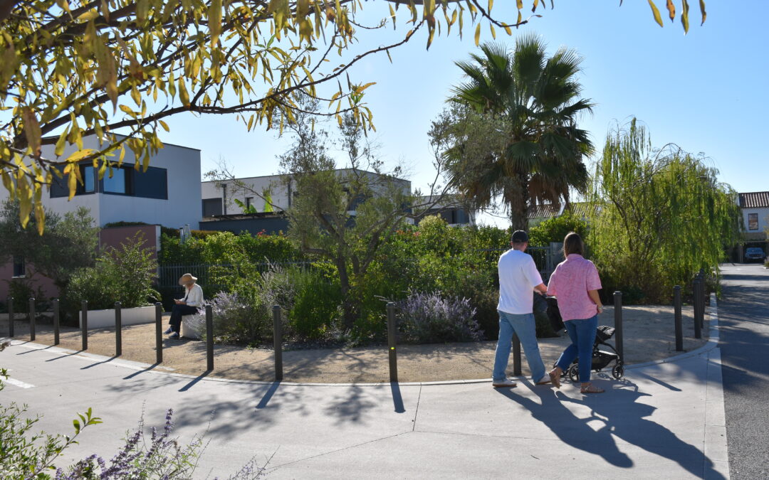 Appel à Manifestation d’Intérêt : Magasin de producteur – Quartier la Font de Mauguio