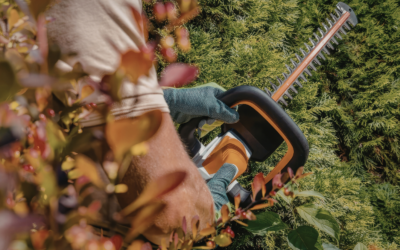 Obligation Légale de Débroussaillement