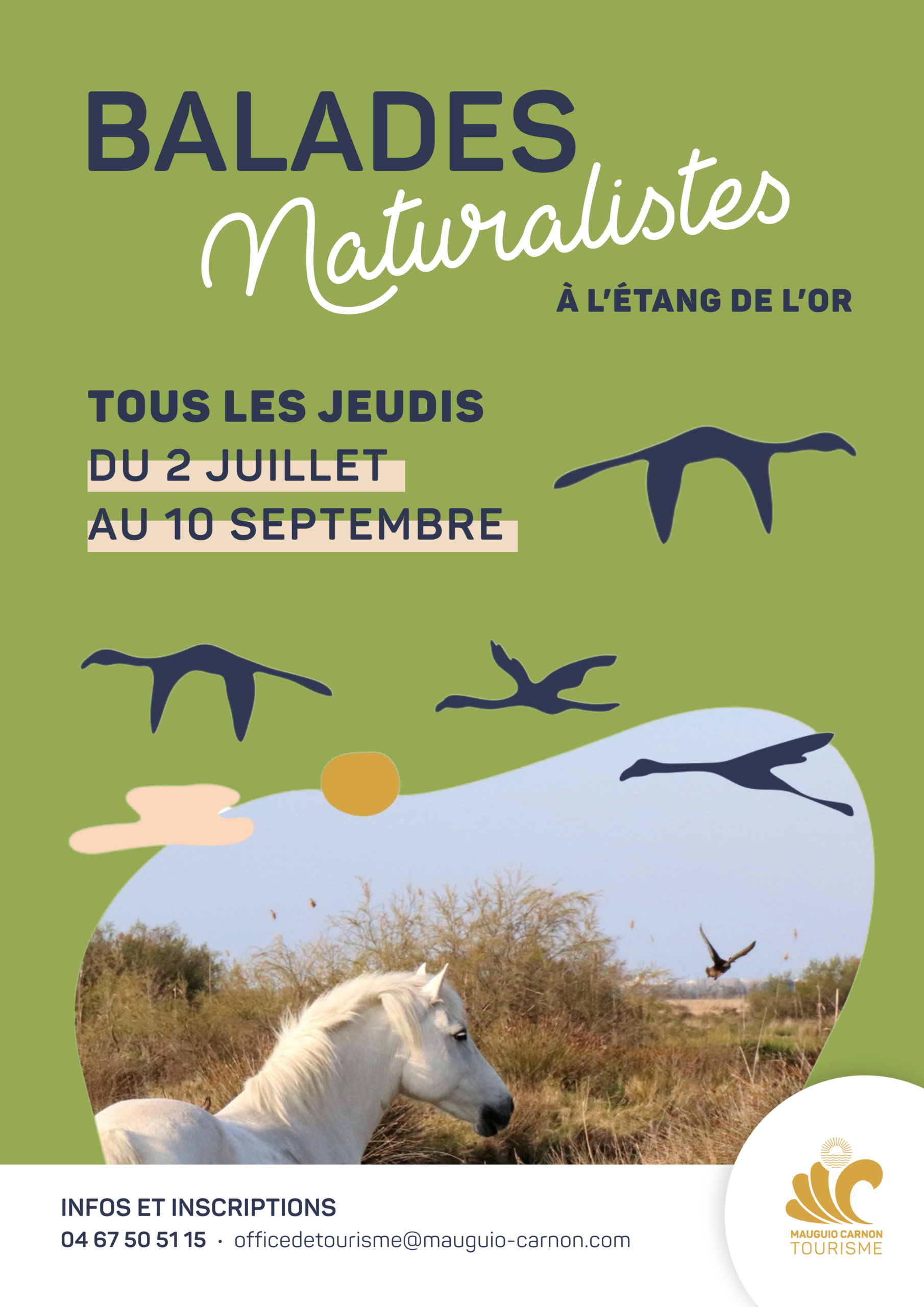 BALADES NATURALISTES 2026 – A3