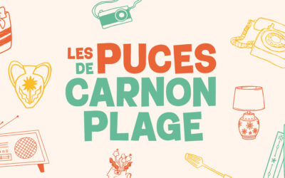 Les Puces de Carnon Plage sont de retour !